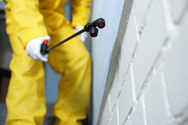 Best Pest Prevention Services  in Liberty Lake, WA